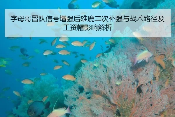 字母哥留队信号增强后雄鹿二次补强与战术路径及工资帽影响解析