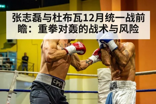 张志磊与杜布瓦12月统一战前瞻：重拳对轰的战术与风险